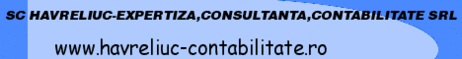Havreliuc Contabilitate
