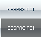Despre Noi