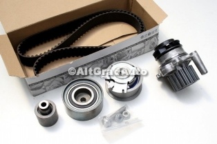 Role Distributie INA VW original